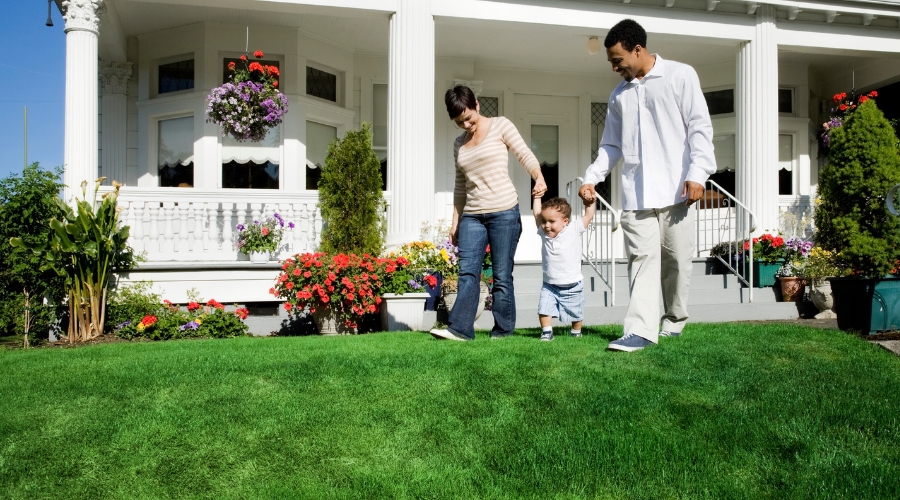 Myth Busting Facts About Artificial Grass