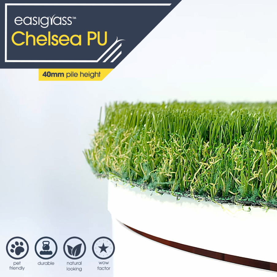 Chelsea Dog Grass Health Uk